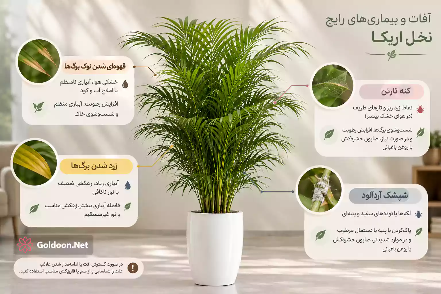 آفات و بیماری رایج نخل اریکا و درمان آن‌ها در فروشگاه گلدون