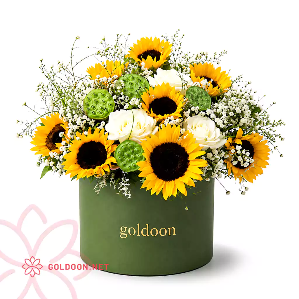 باکس گل کد 008 گلدون با آفتابگردان، رز سفید، ژیپسوفیلا و غلاف پسته دریایی در باکس استوانهای سبز