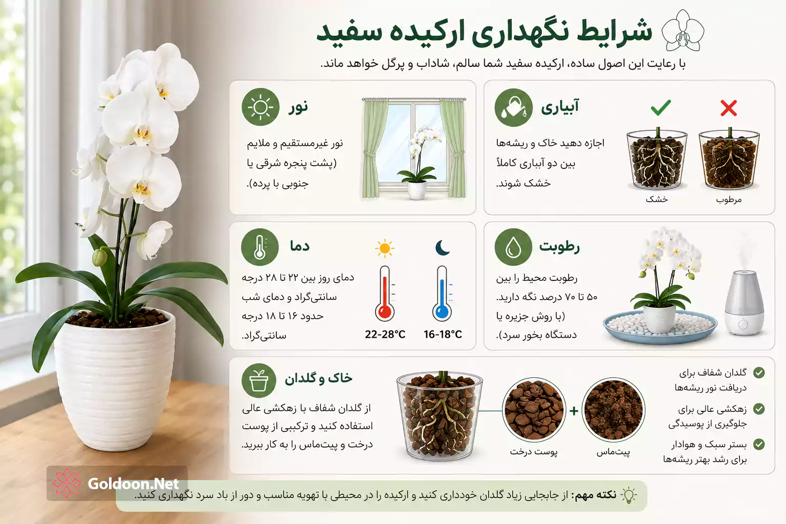 آموزش تصویری نحوه صحیح نگهداری گیاه ارکیده سفید آپارتمانی