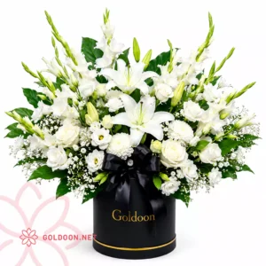 خرید باکس گل کد 017 گلدون با رز سفید، لیسیانتوس، اورینتال و داوودی سفید در باکس استوانهای مشکی لوکس