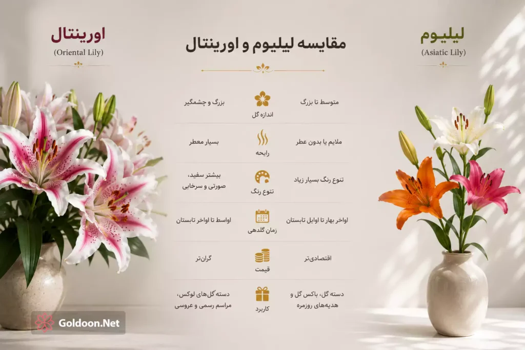 تفاوت-گل-لیلیوم-و-اورینتال-در-وبسایت-گلدون-مرجع-خرید-گل-و-گیاه