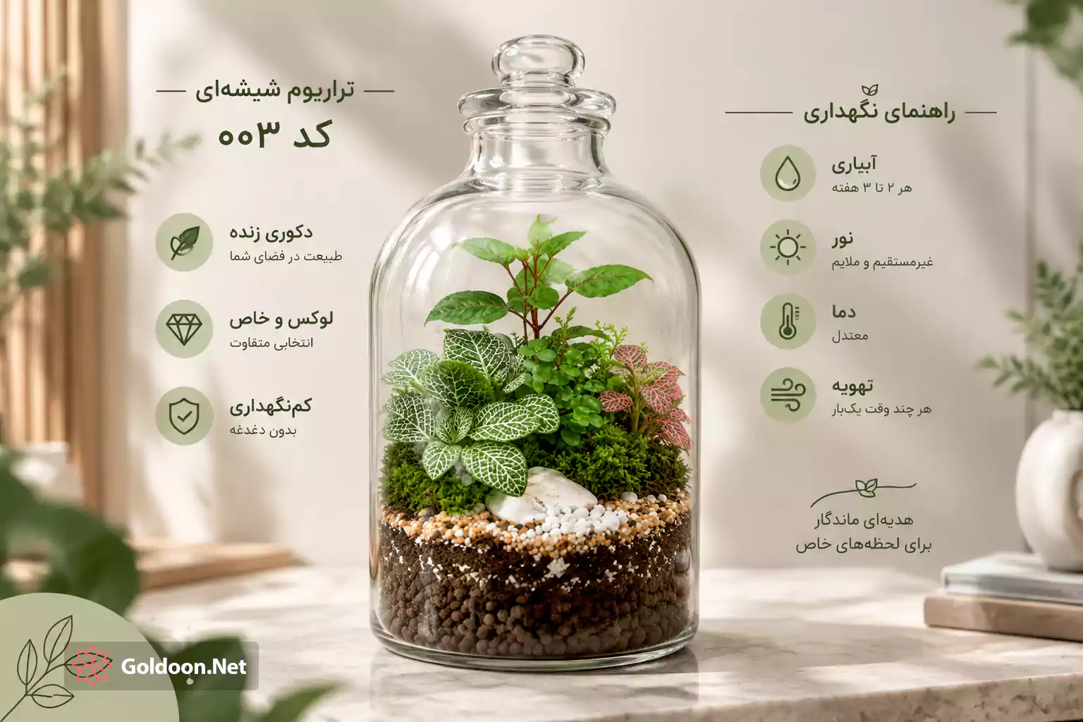 تراریوم شیشه ای کد 003 گلدون؛ راهنمای نگهداری شامل آبیاری هر 2 تا 3 هفته، نور غیرمستقیم، دمای معتدل و تهویه دوره‌ای