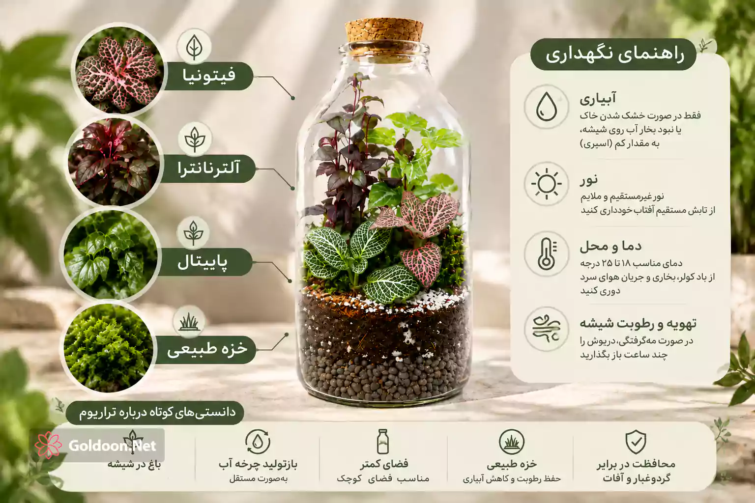نمای داخلی تراریوم شیشه‌ای کد 002 از فروشگاه گلدون؛ ترکیبی هماهنگ از فیتونیا، آلترنانترا، پاپیتال و خزه طبیعی در بستری از سنگریزه و خاک زهکشی‌دار