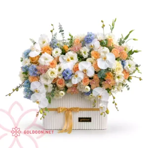 خرید باکس گل کد 027 با ترکیبی از رز هلندی، ارکیده سفید، هورتانسیا و لیسیانتوس در هاردباکس مستطیلی سفید از فروشگاه گلدون
