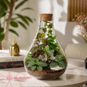 خرید تراریوم شیشه ای کد 001 فروشگاه گلدون goldoon.net از تهران
