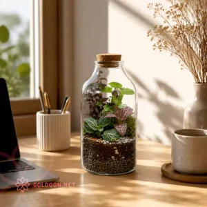 خرید تراریوم شیشه ای کد 002 فروشگاه گلدون goldoon.net از تهران
