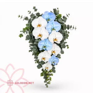 دسته گل عروس ارکیده آبشاری کد 008 ترکیب سفید و آبی؛ ارکیده فالانوپسیس سفید در کنار ارکیدههای آبی، برگ اکالیپتوس نقرهای، چیدمان آبشاری روی زمینه سفید