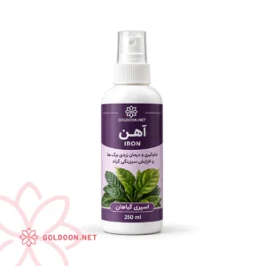 اسپری کود آهن برند گلدون در بطری ۲۵۰ میلی‌لیتری برای رفع زردی برگ گیاهان آپارتمانی با طرح برگ سبز روی لیبل