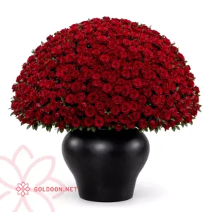 باکس رویال رز قرمز کد 036 با 1200 شاخه رز قرمز در کوزهی مشکی مات از فروشگاه گلدون