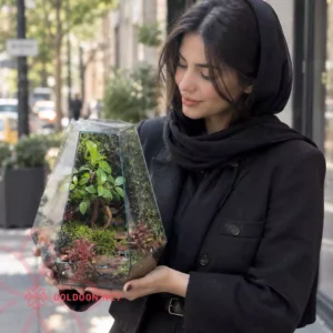 موساریوم بنسای فیکوس کد 007 از فروشگاه گلدون، نمای کامل ظرف شیشه‌ای شش‌ضلعی در دست مدل خانم