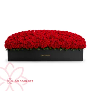 باکس گل رز لوکس کد 038 از فروشگاه گلدون؛ گلآرایی پرحجم از حدود 350 شاخه رز طبیعی قرمز با کیفیت در باکس مستطیلی بلند مشکی، با چیدمان متراکم