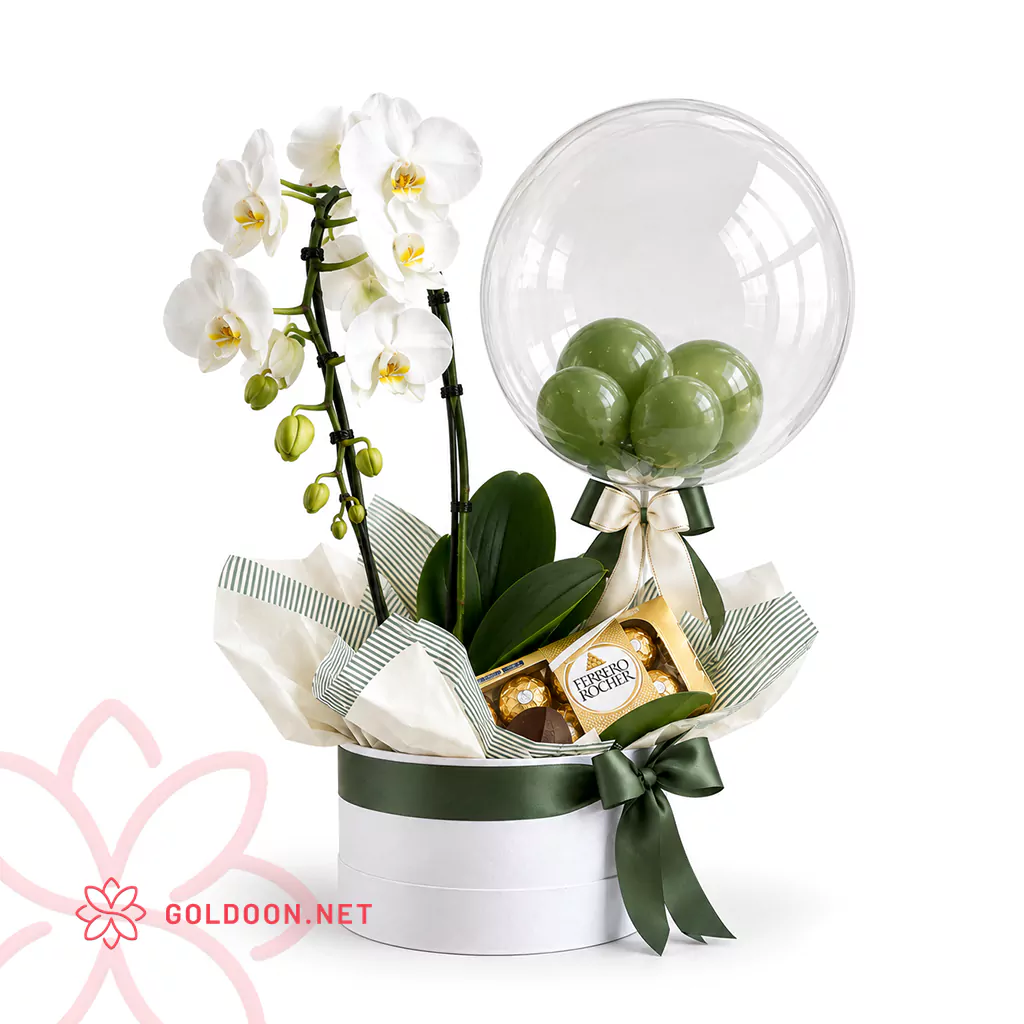 باکس گل ارکیده و بادکنک کد 037 با ارکیده سفید، شکلات فررو روشر اصل و بادکنک در باکس گرد سفید