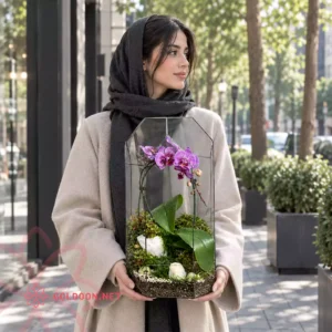 تراریوم ارکیده کد 005 با ارکیده بنفش و خزه در ظرف شیشه‌ای هندسی در دست مدل خانم در تهران