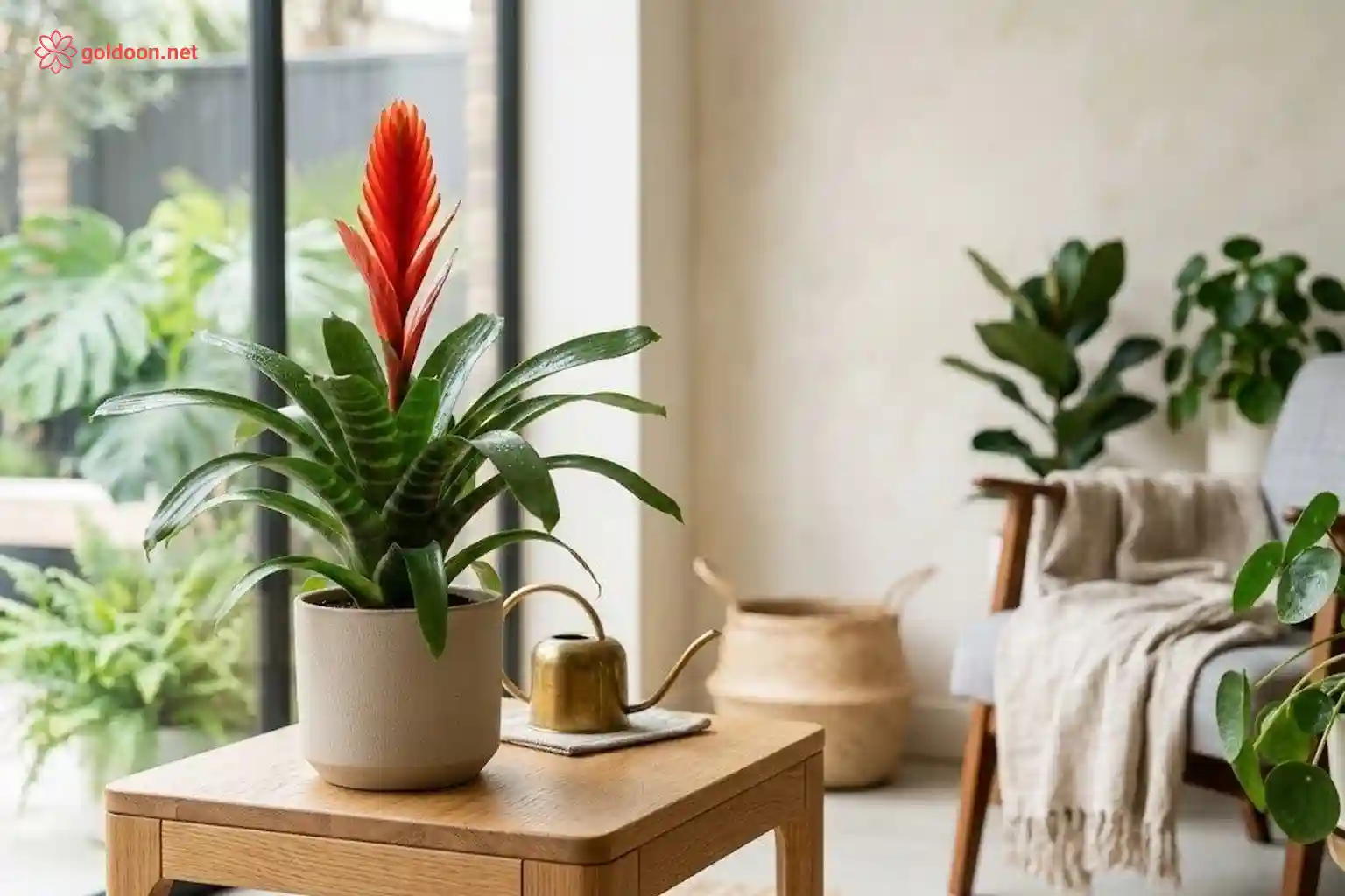 گیاه ورزیا، راهنمای جامع نگهداری ، وبلاگ گلدون